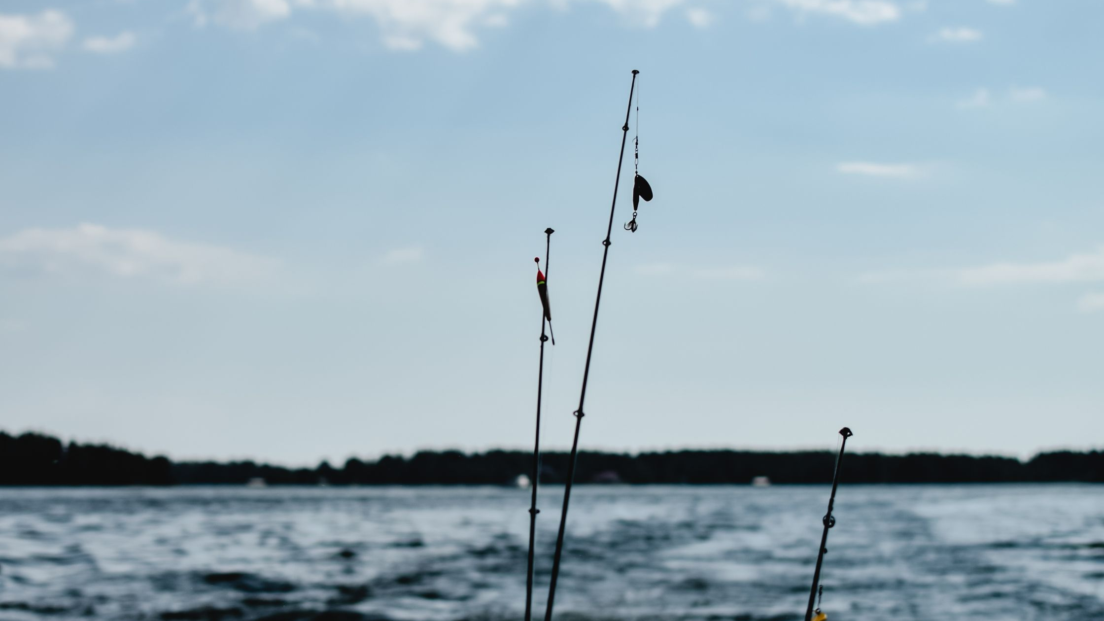 Review: Minnows for Sale