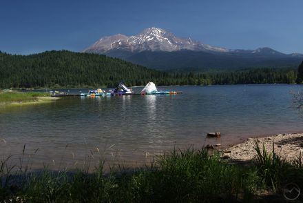 Lake Siskiyou and Shastina