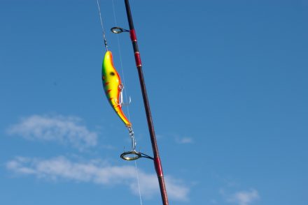 Fishing Plugs