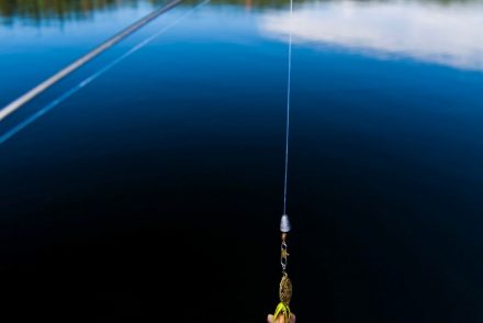 soft plastic baits 1