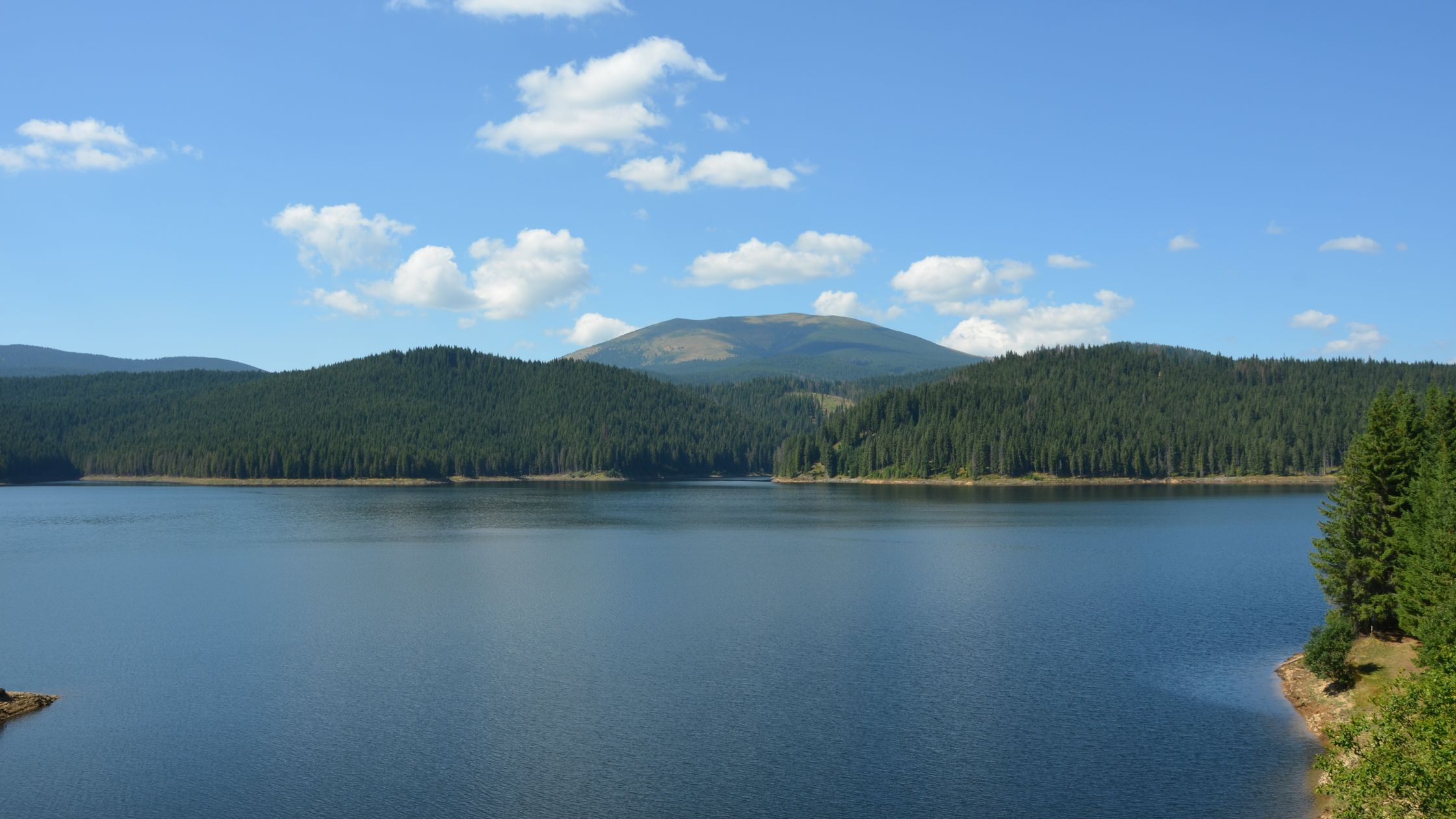 Crystal Basin Fishing Report 2026: Loon, Union Valley & Ice House Guide