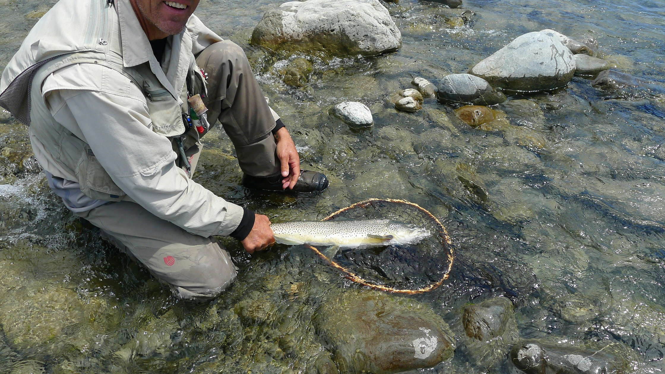 Ambush-Feeding Trout: How to Catch the Biggest Fish in the River