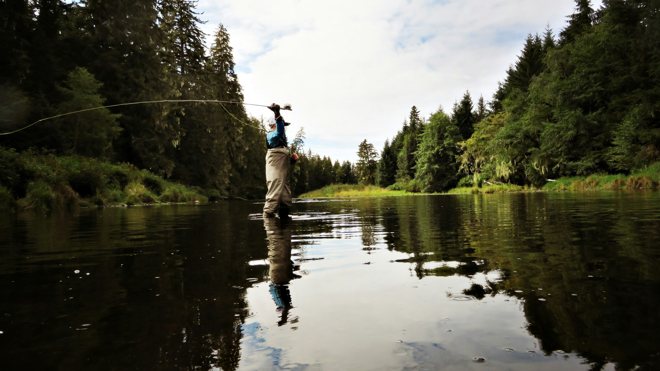 Pit River Fly Fishing Report 2026: Hatches & Access Guide