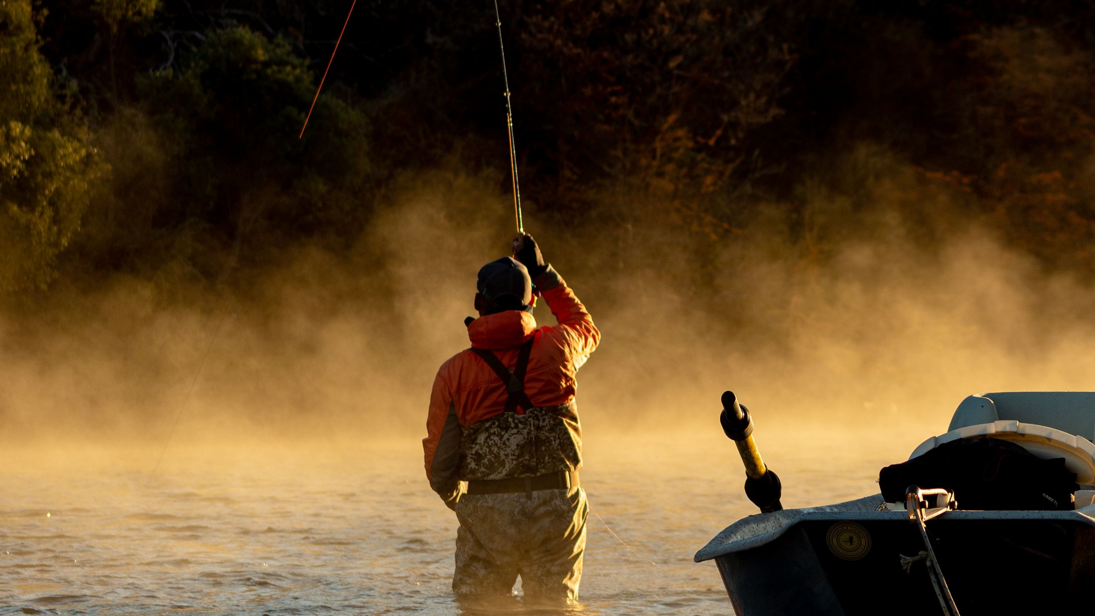 Best Time of Day for Trout Fishing, Season by Season