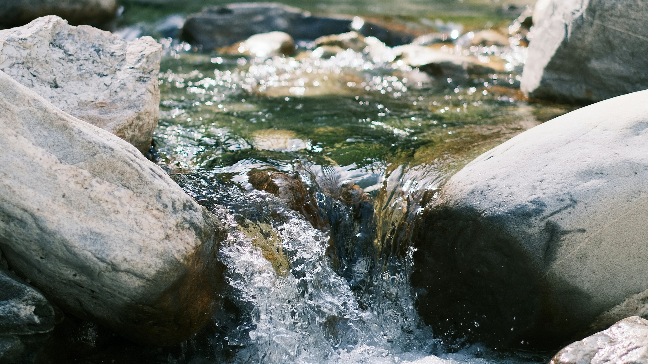 Best Water Temperature for Trout Fishing: The Complete Guide