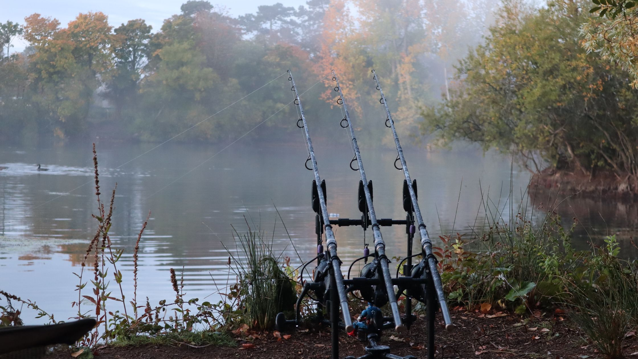 Best Carp Fishing Rods this 2021
