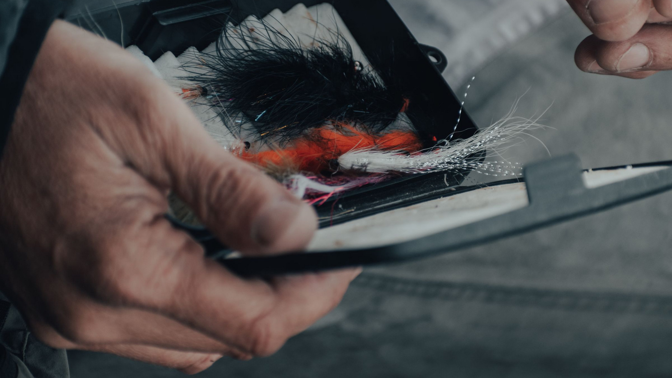 Change Flies or Change Spots? A Decision Guide for Tough Days