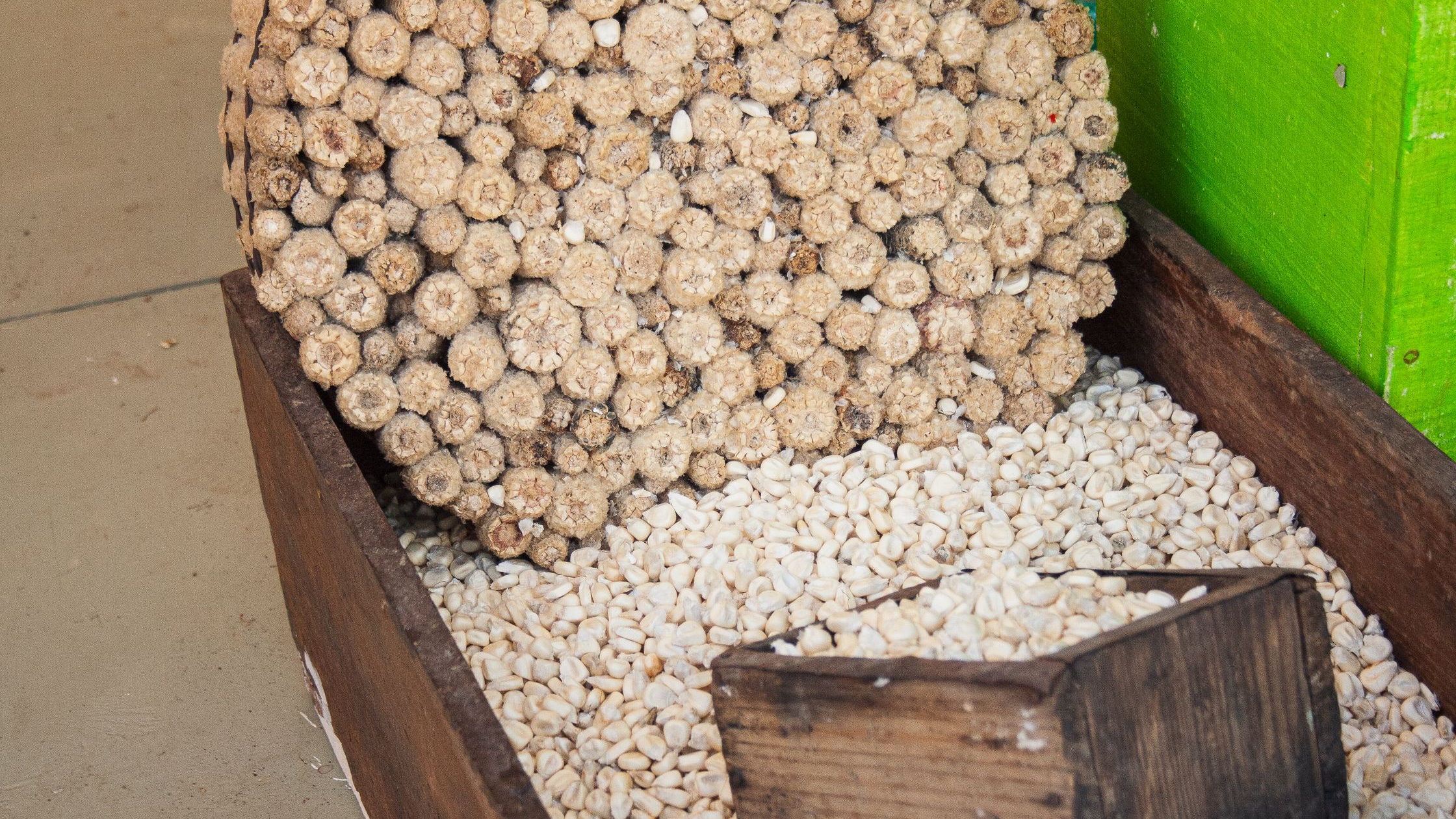 About Bread and Particle Fishing Baits