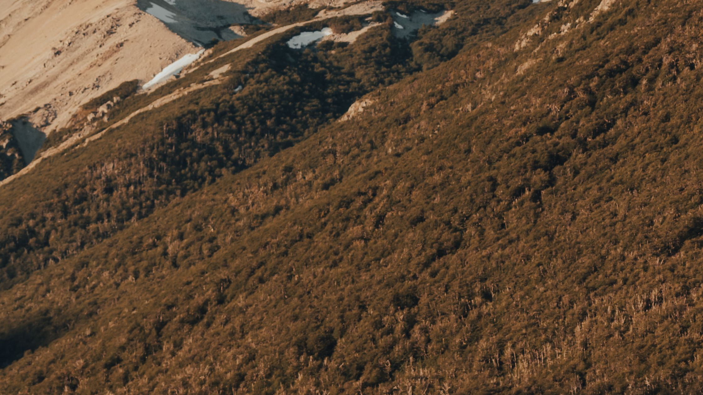 How to Become a Successful Flyfisher