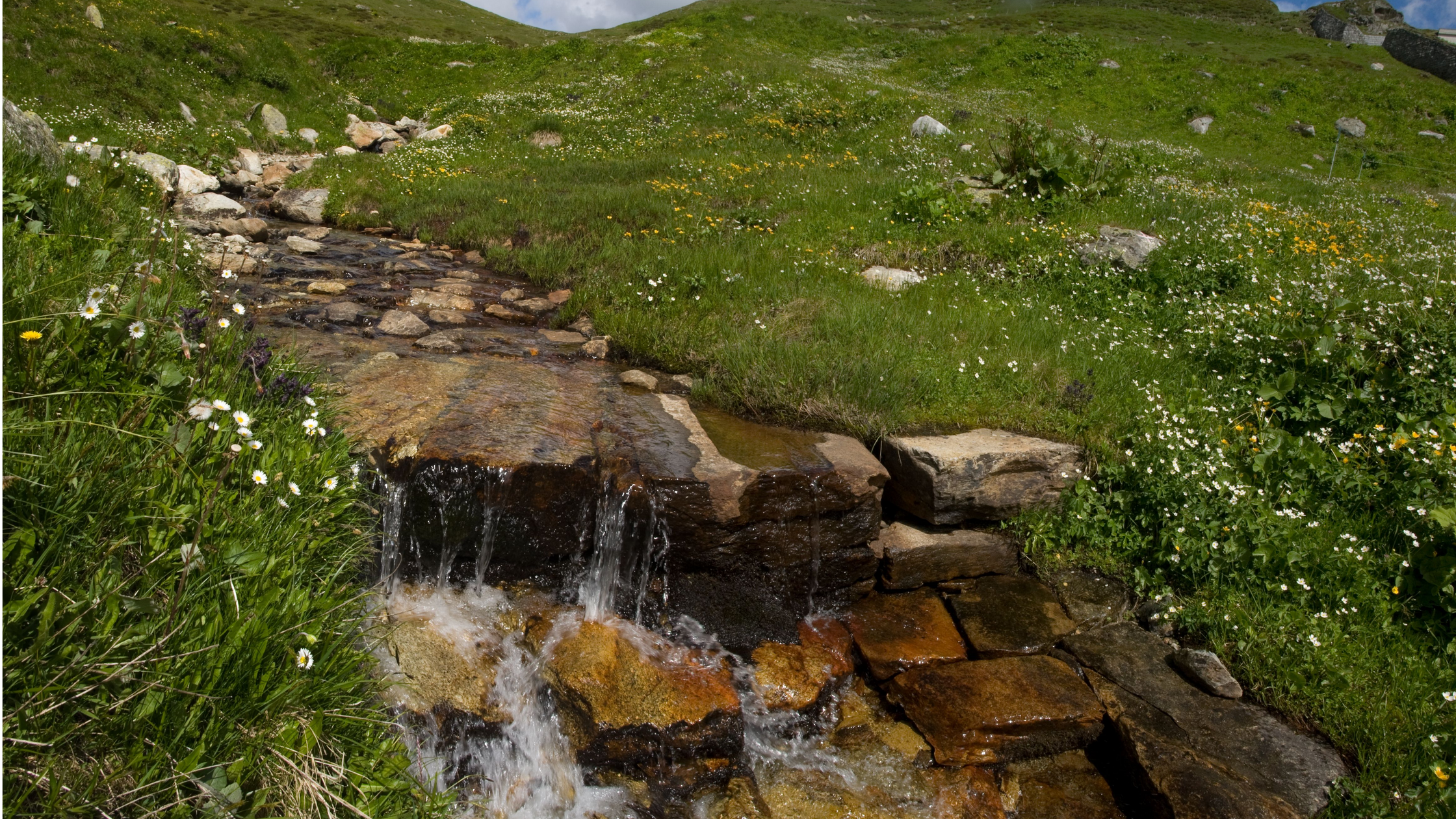Fly Fishing Bear Creek, Idaho: Backcountry Cutthroat Water
