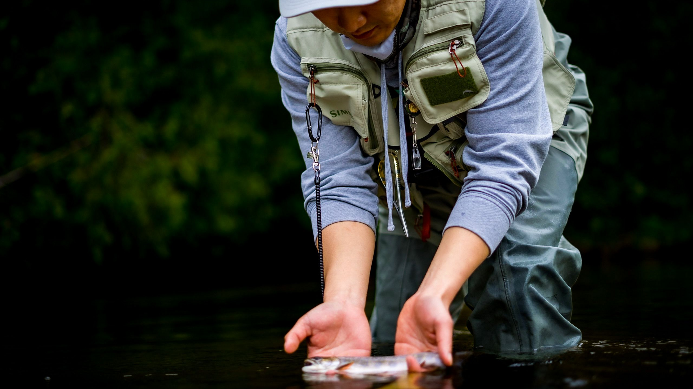 Fly Fishing Cayuse Creek, Idaho: Remote Westslope Cutthroat Paradise
