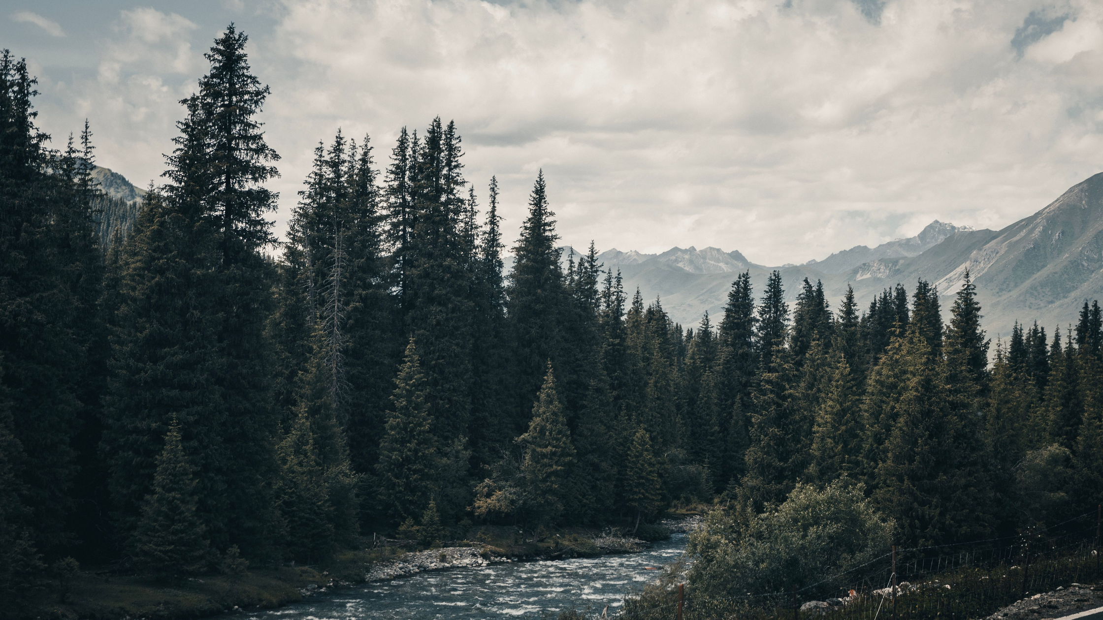 Fly Fishing the Wind River, Idaho: Salmon River Country Solitude