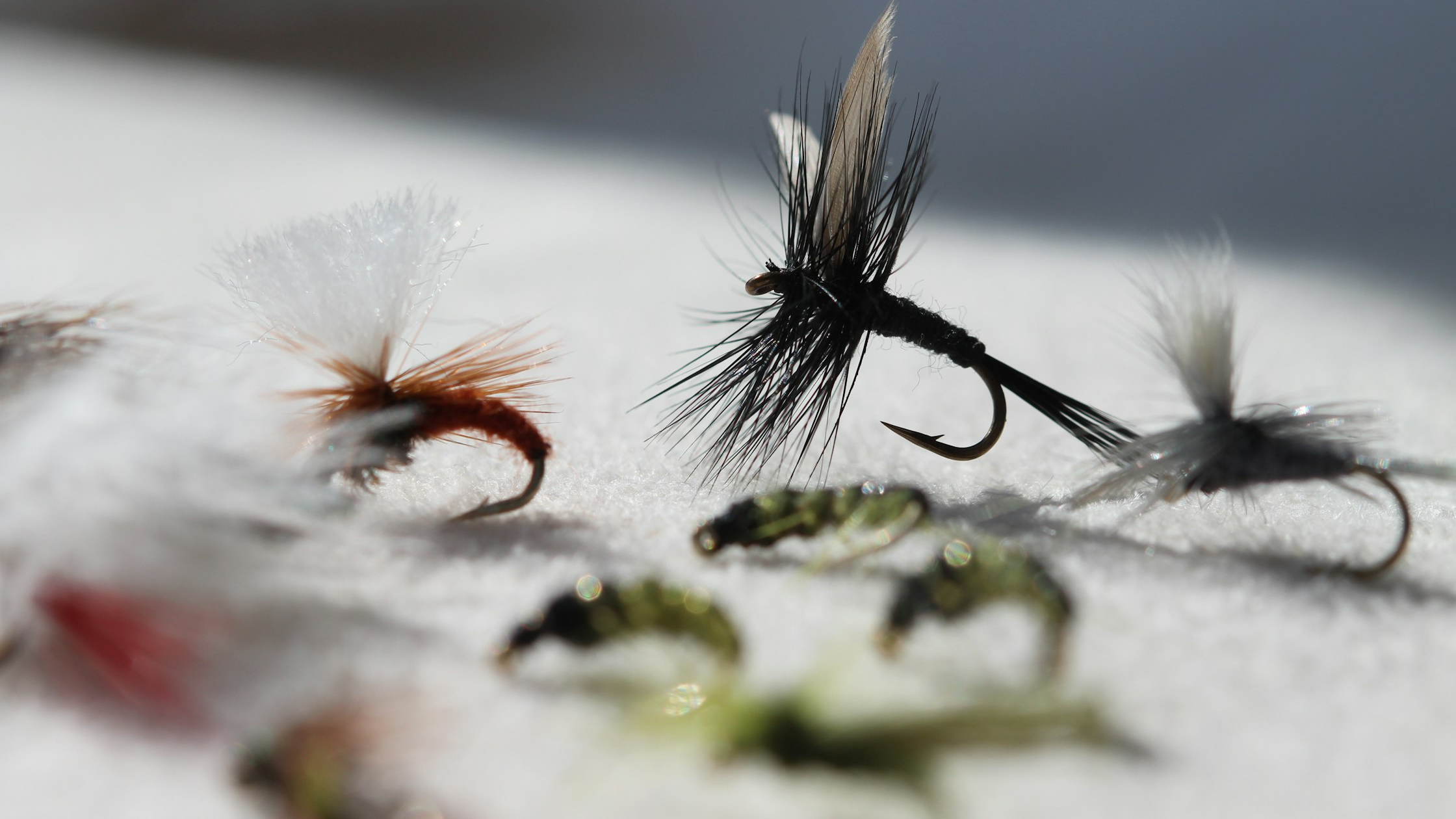 Fly Tying Guide for Beginners (with Pictures)
