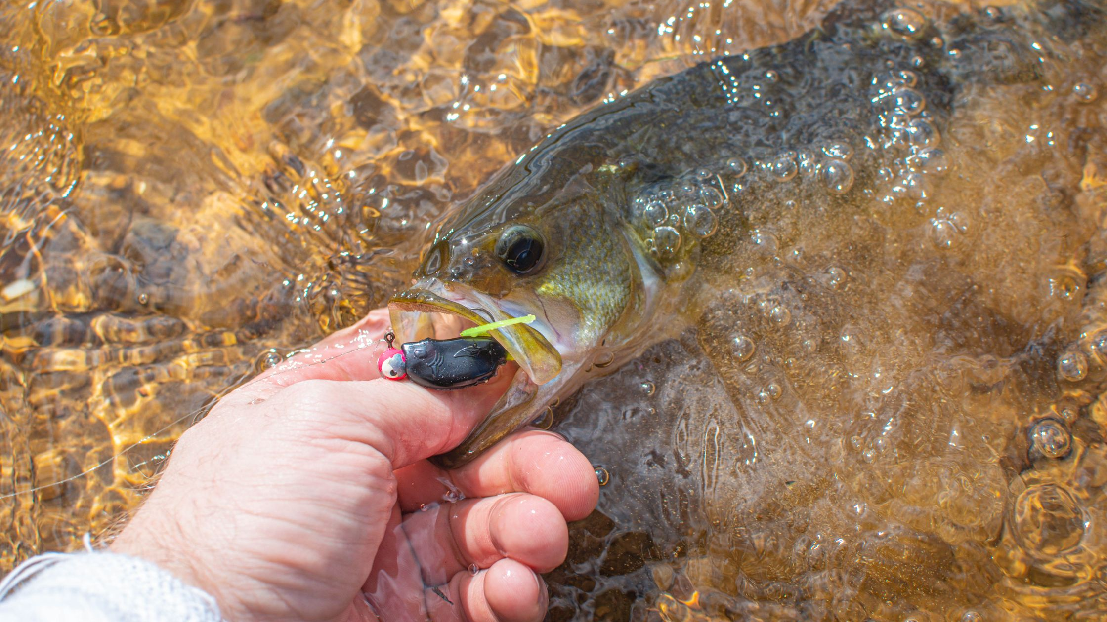 How to Hold a Trout