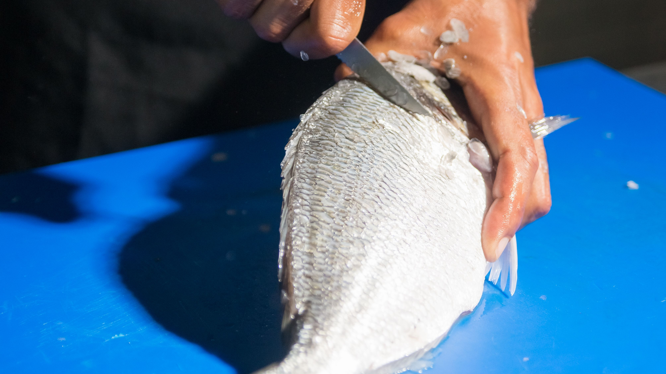 How to Clean and Fillet Fish: Fresh Care to Boneless Fillets