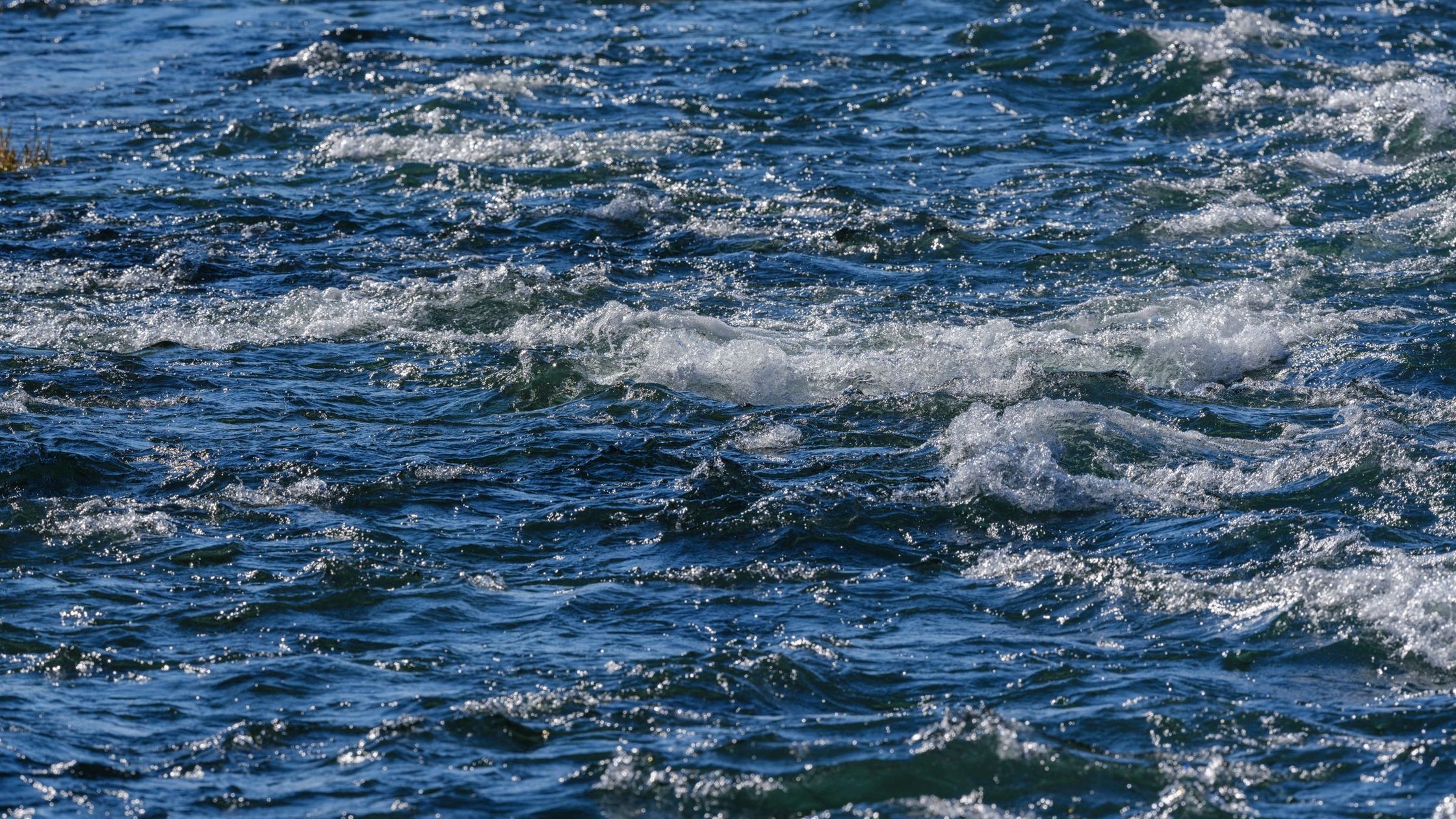 How to Read River Currents for Trout: Seams, Eddies, Foam Lines