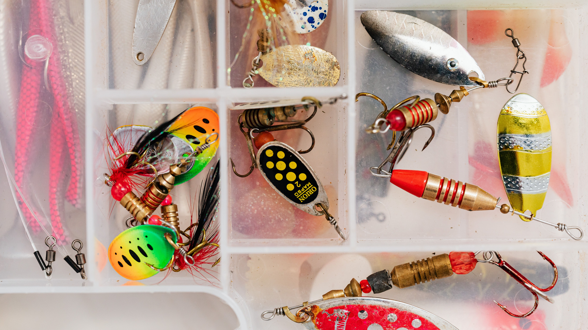 Jig Fishing for Bass: Setup, Colors, and Retrieves That Get Bit