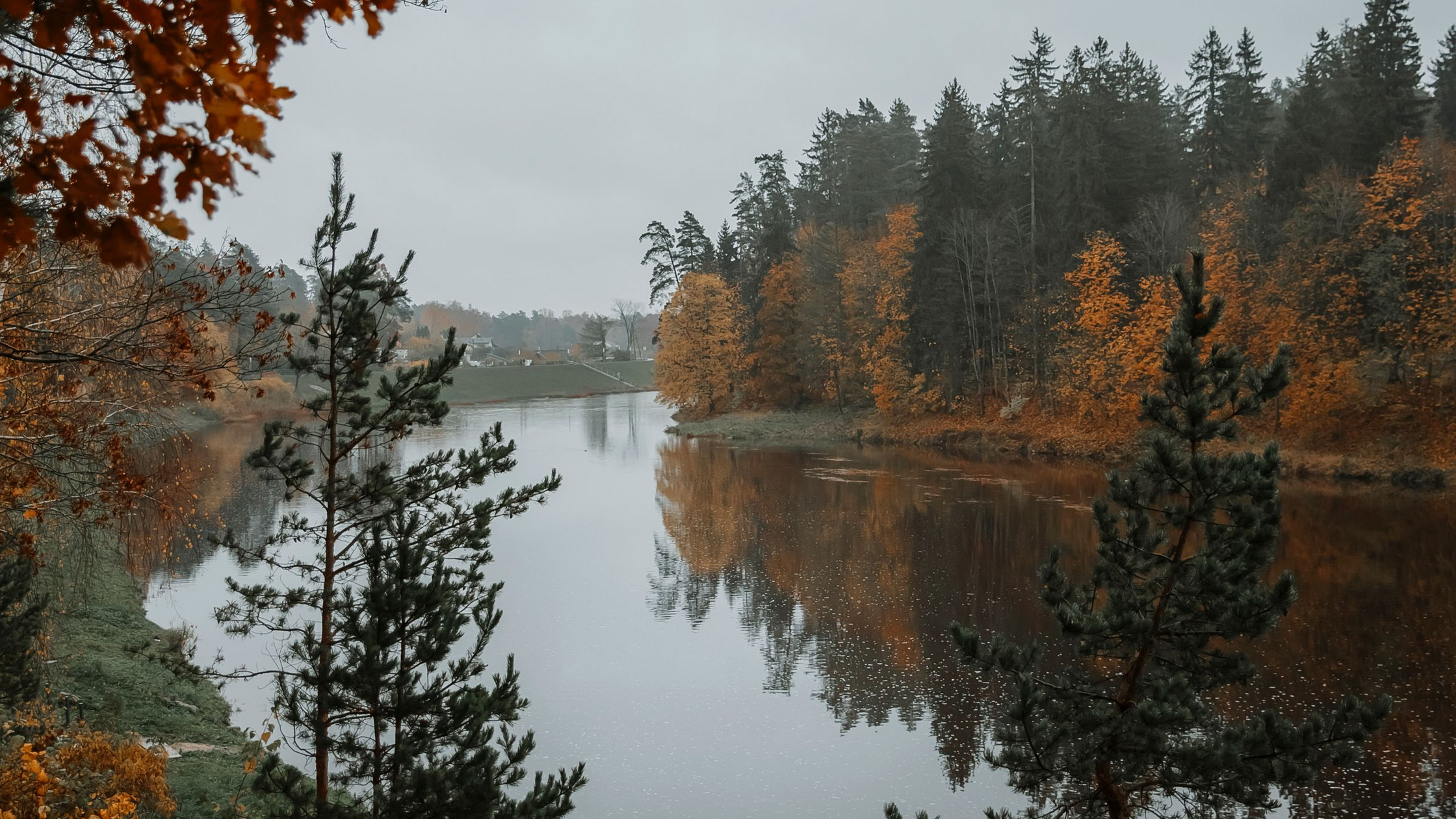 Late Fall Fly Fishing for Trout: End-of-Season Tactics