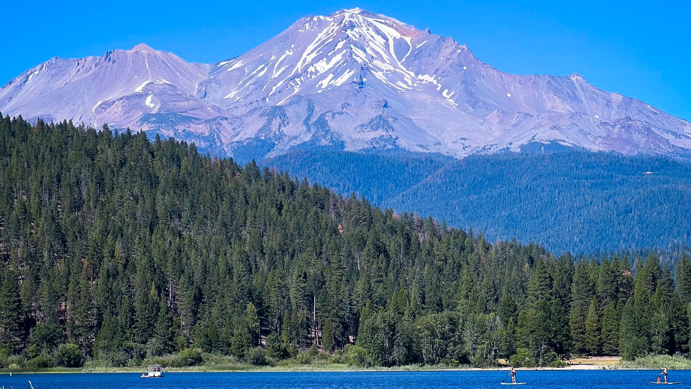 Lake Shasta Fishing Report 2026: Trophy Trout & Bass Guide