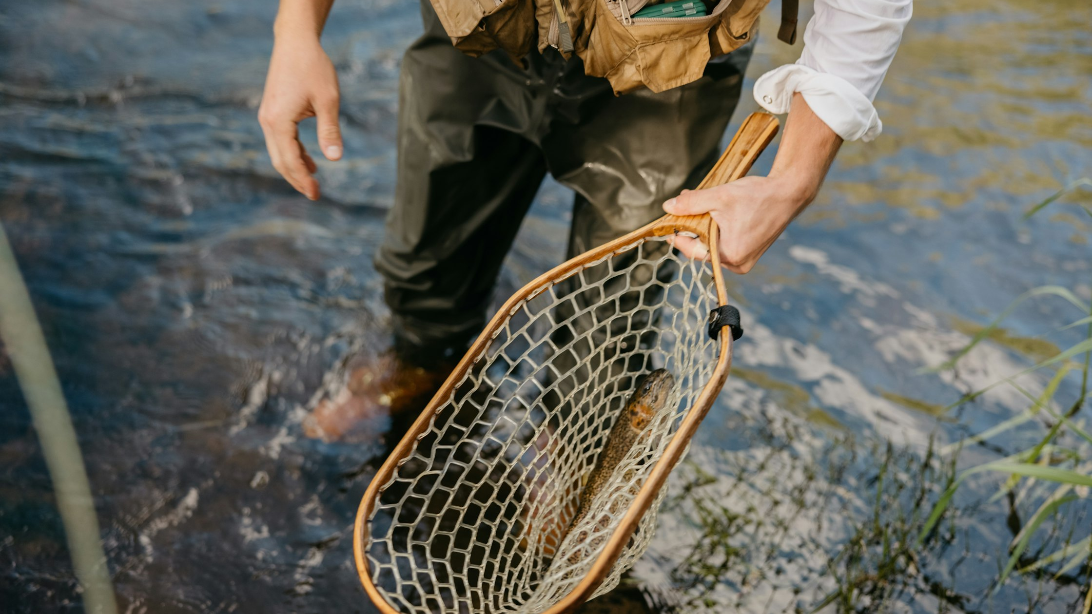 How to Successfully Play a Hooked Trout and Mastering the Fight