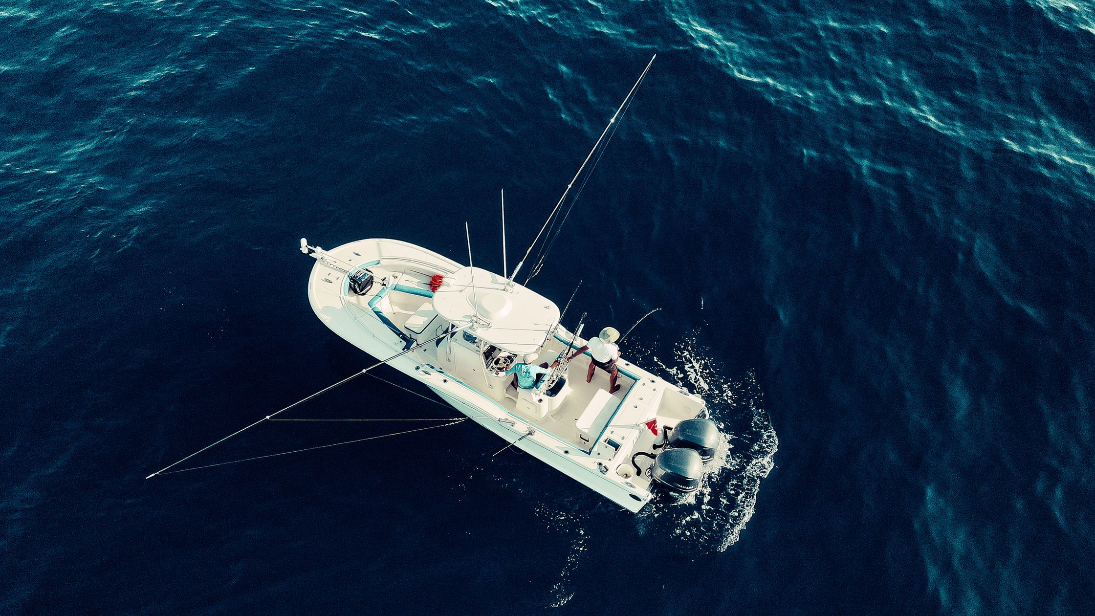 Offshore Fishing Basics: Your First Bluewater Trip Explained