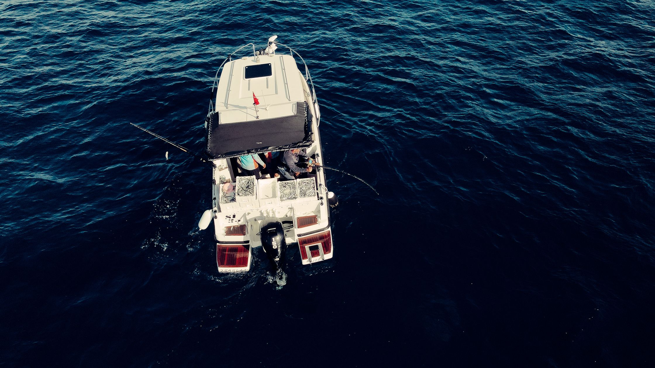 Boca Raton Fishing Charters: EJS Charters