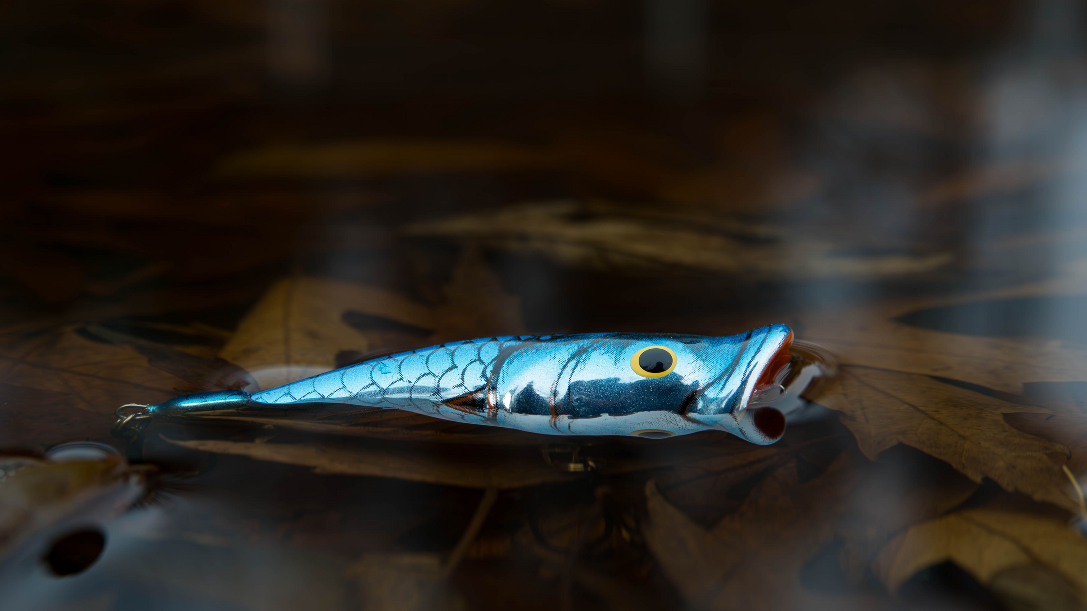 Poppers and Walking Baits: How to Walk the Dog for Bass