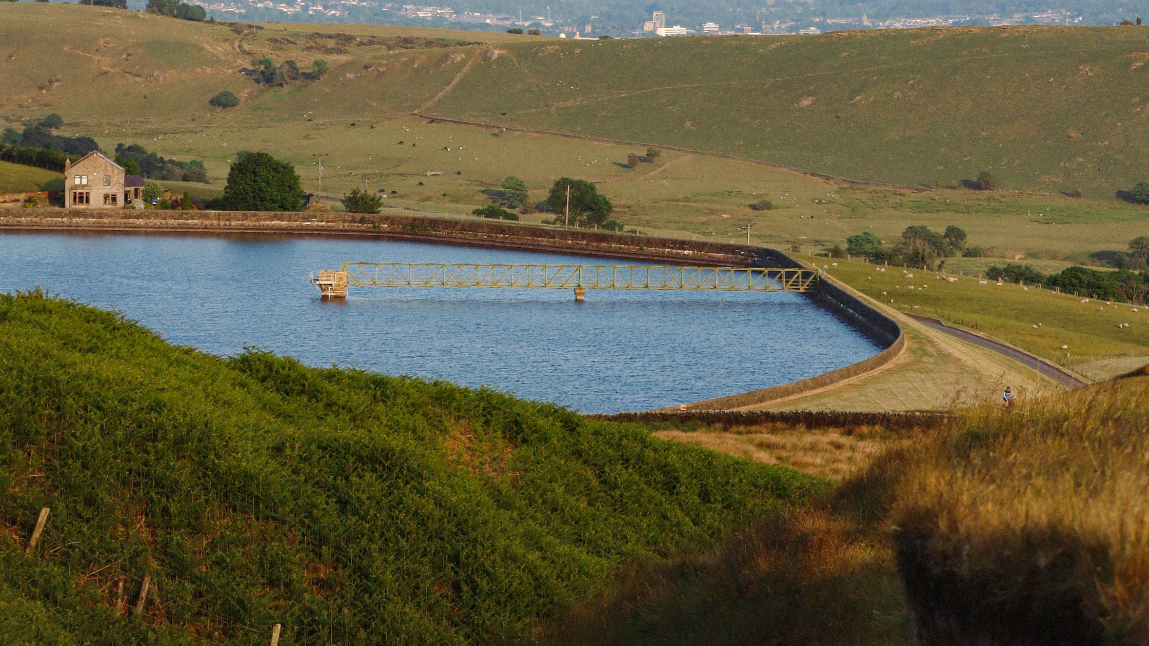 Lake Del Valle Fishing Report 2026: Trout, Bass & Striper Guide