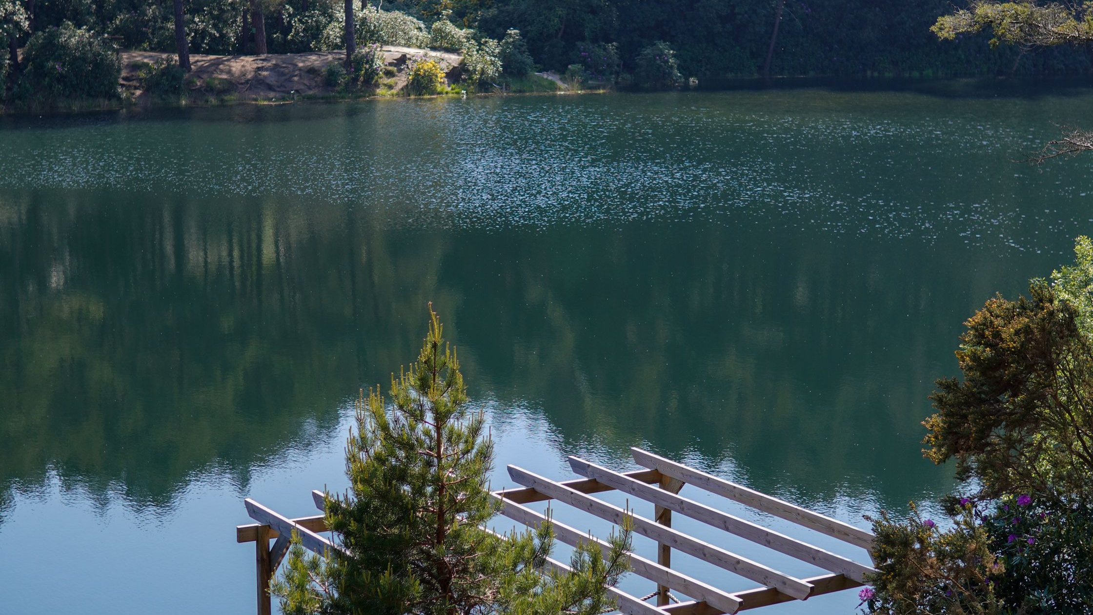 Lake Siskiyou Resort: Your Fishing Paradise in the Shadow of Mt. Shasta