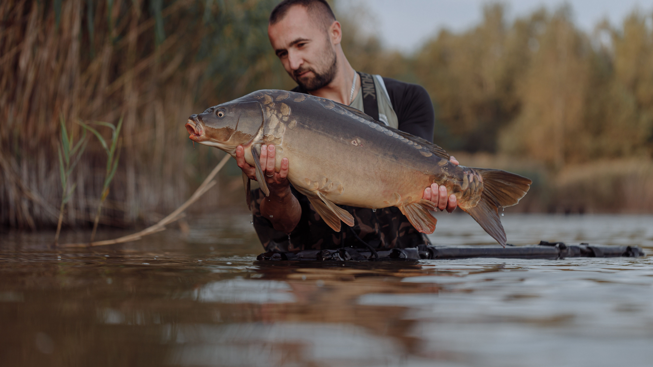 Carp on the Fly: Fishing the Snake River Flats in Idaho