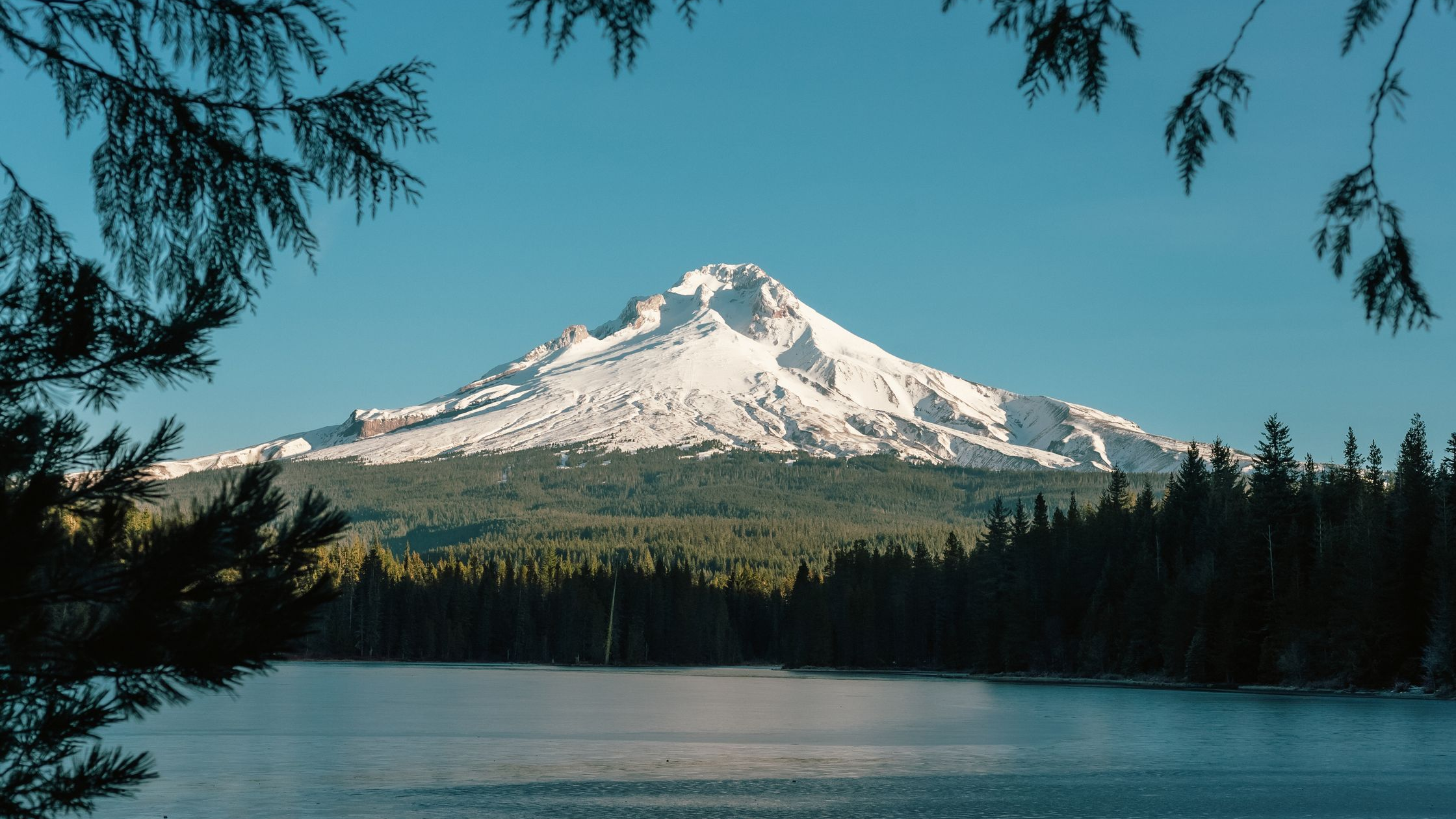 Manzanita Lake Fishing Report 2026: Trophy Trout at Lassen Guide