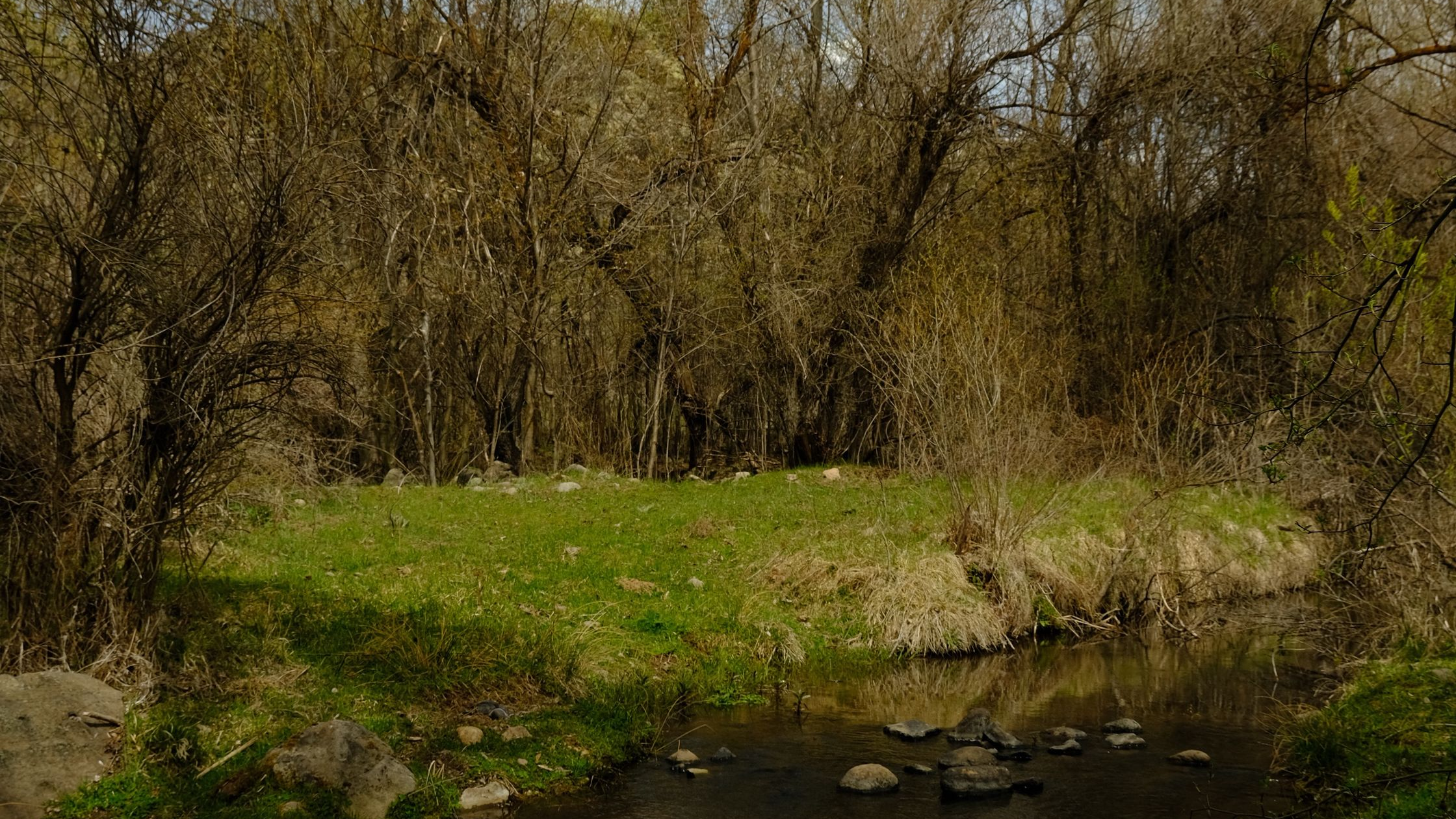 Hat Creek & Baum Lake Fishing Report 2026: Wild Trout Guide