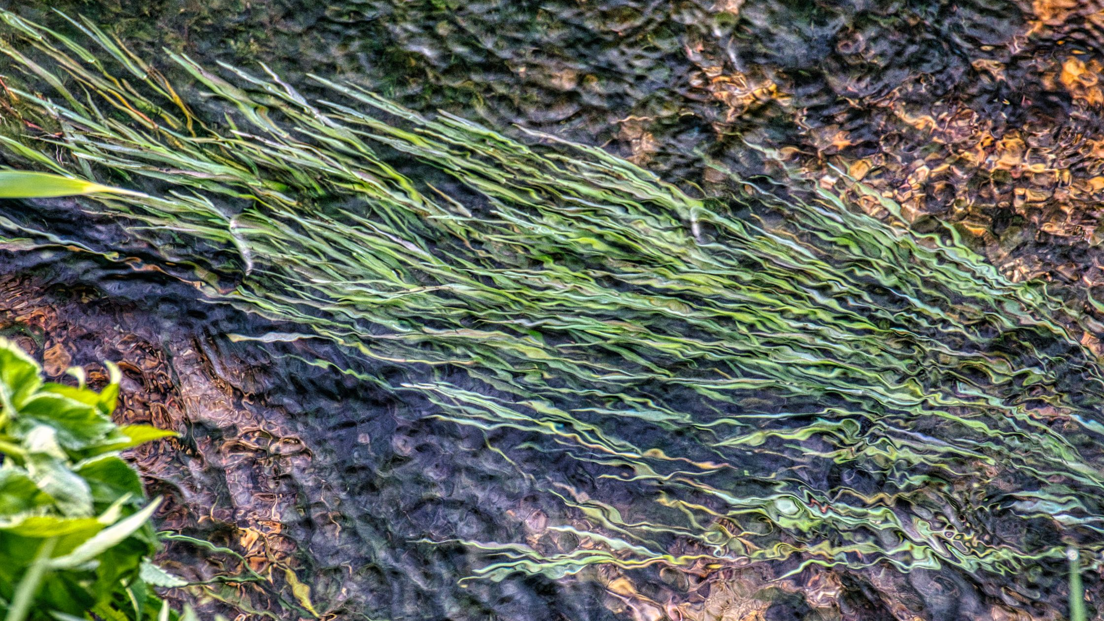 Factors in Quarry and River Fertility