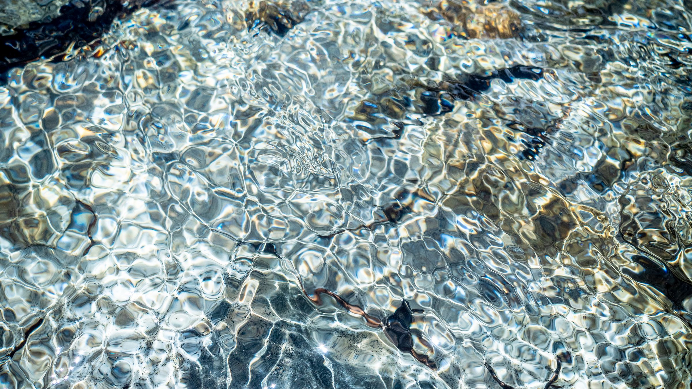Summer Trout Fishing in Low, Clear Water