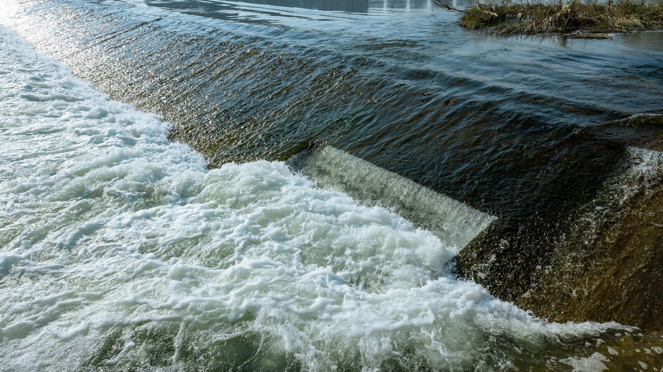 Tailwater Fishing: How to Catch Fish Below Dams Year-Round