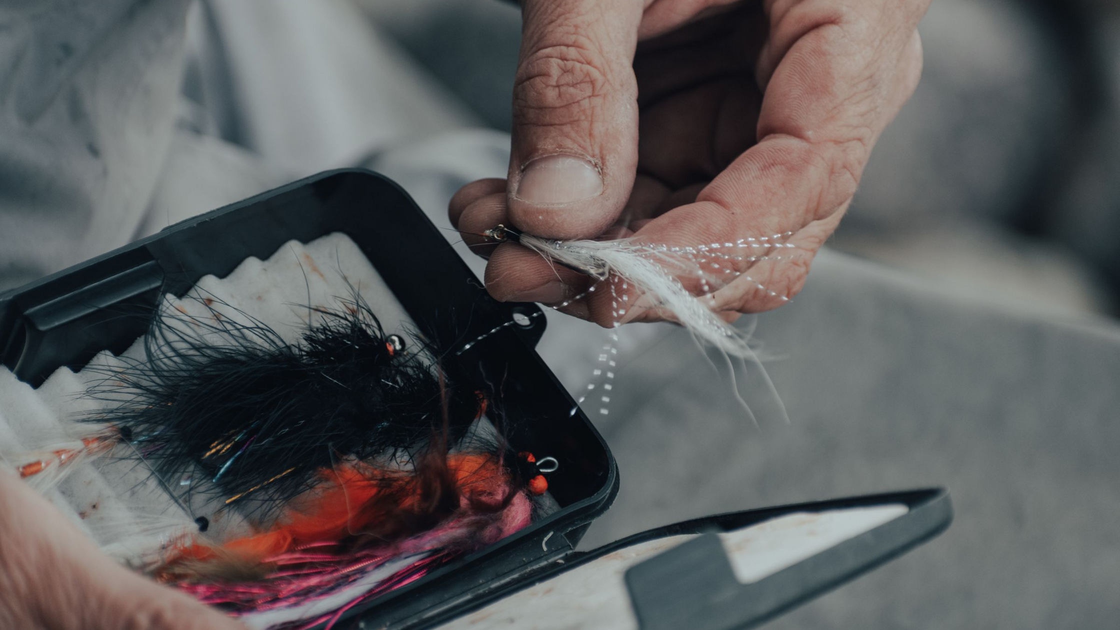 Why Trout Refuse Your Fly (and How to Fix It)