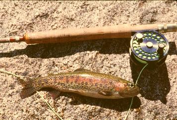 Types_of_California_Trout