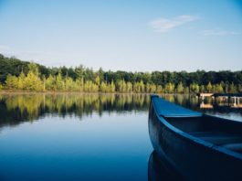 New Hogan Lake Fishing Facts