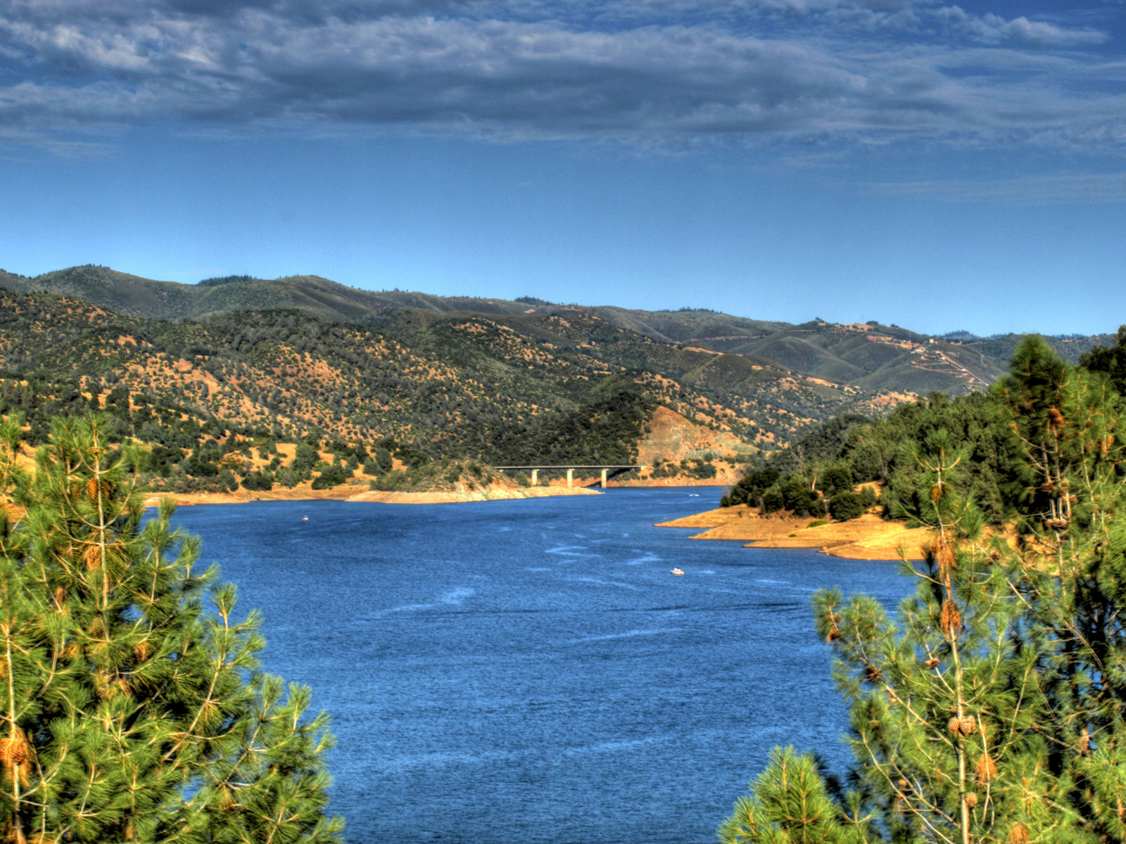 Don Pedro Lake Fireworks 2024 - Teddi Garnette