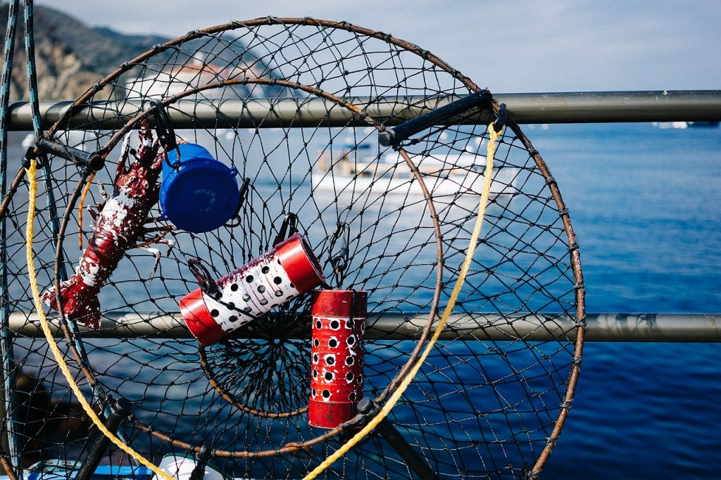 fishing equipment for beginners