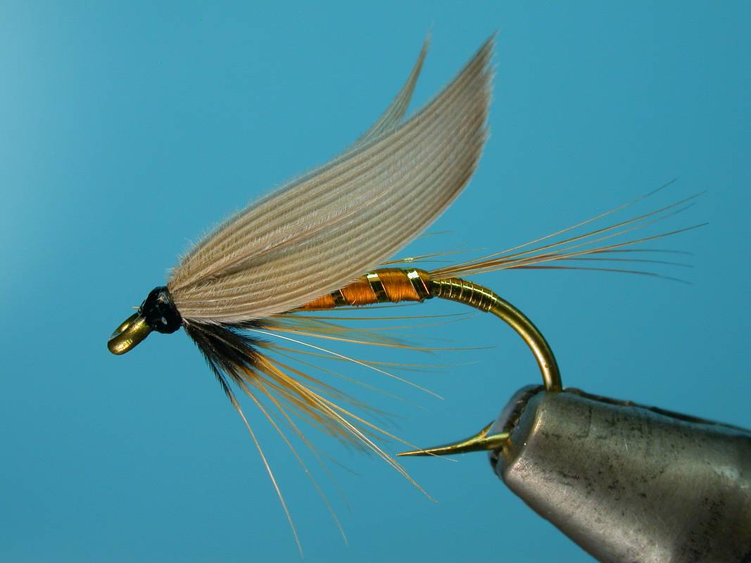 Wet Fly A Quick Guide