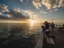 4 New Fishing Technology Changes That Will Actually Make Your Life Easier