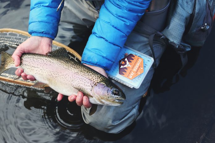 Types of Trout