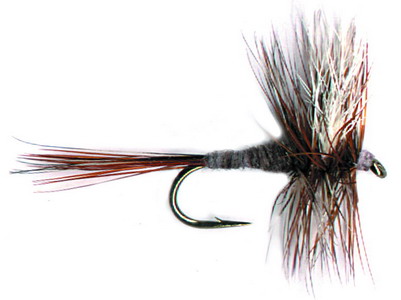 How to Choose Your Flies For Wet-Fly Fishing