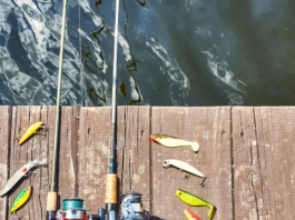 Best carp fishing rods