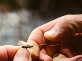 How To Take Care Of Your Fly Line