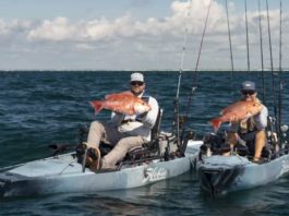 7 Beginner Tips for Kayak Fishing in Saltwater